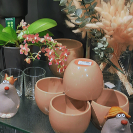 Blumen, Deko, Blumentöpfe und Accesoirs für Ihr Zuhause finden Sie bei der Blumenkugel