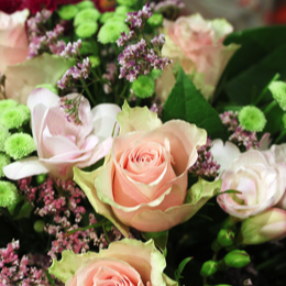 Blumen bei der Blumenkugel