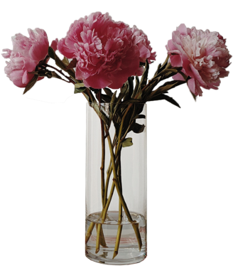 Vase mit Blumen von der Blumenkugel